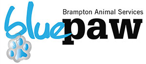 Brampton Animal Services BluePaw Program
