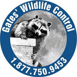 Gates' Wildlife Control 1.877.750.9453