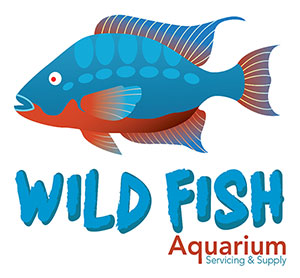 Wild Fish Aquarium Servicing and Supply