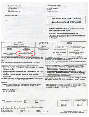 Sample POA Parking Ticket