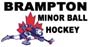 Logo for Brampton Minor Ball Hockey