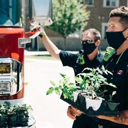 Fire staff receive vegetable plant donations
