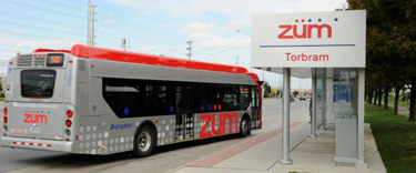 Zum Bus and Station Stop