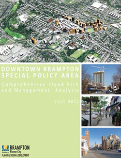 Downtown SPA Report Cover