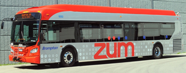 Side of Zum Bus