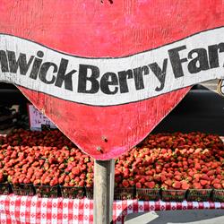 https://wwwauthoring.brampton.ca/EN/Arts-Culture-Tourism/Experience-Brampton/Dine-and-Shop/PublishingImages/Vendors/Fenwick%20Berry%20Farm_Strawberries_2025.JPG?RenditionID=11
