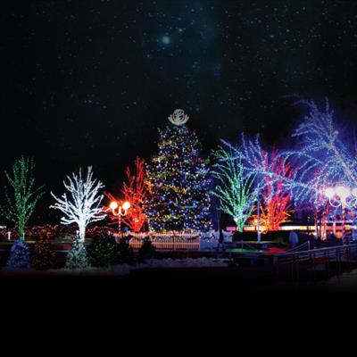 Winter Lights Festival