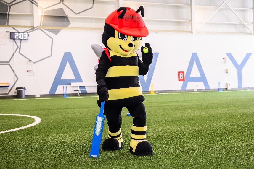 An image of a bee mascot holding a ball and a cricket bat