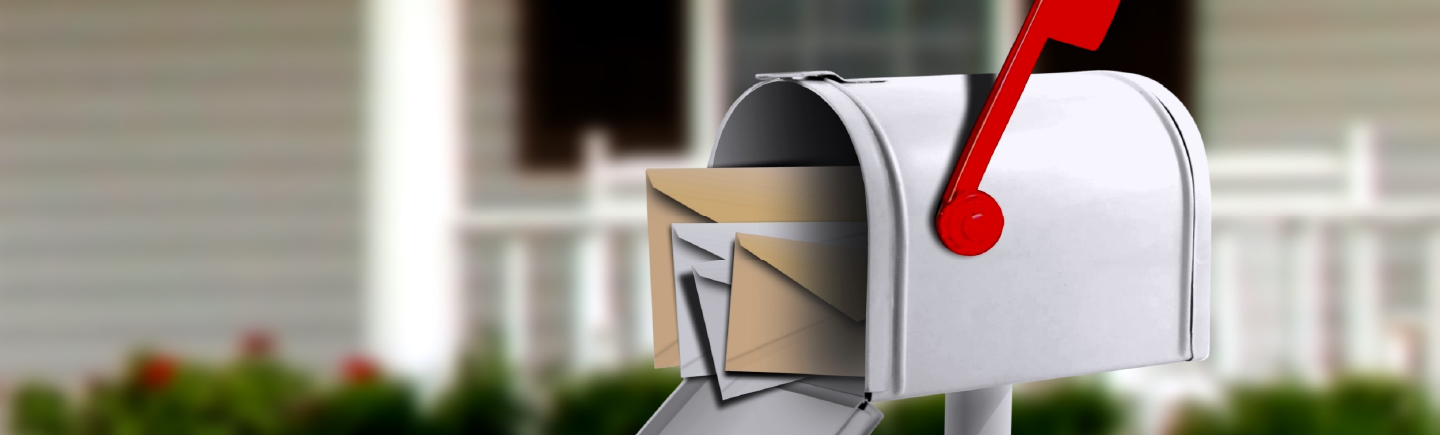 Councillor Newsletters