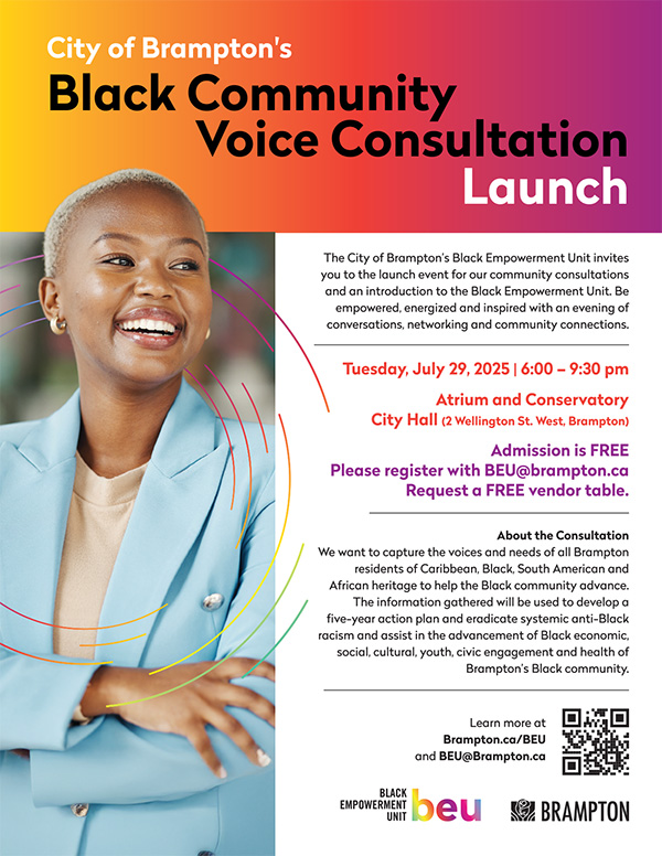 Consultation Poster 2