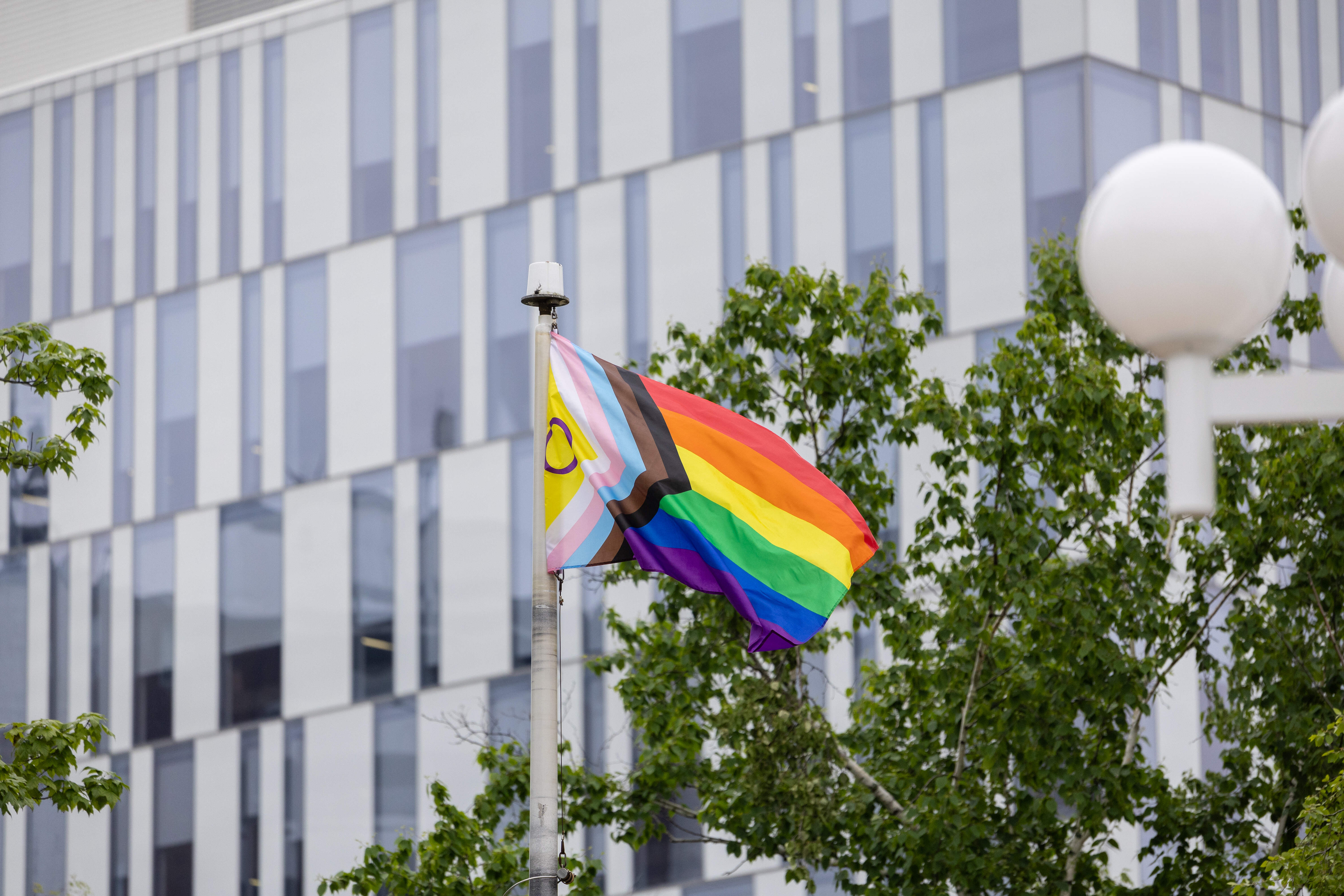 News Release-Celebrate Pride 2025 in Brampton.jpg