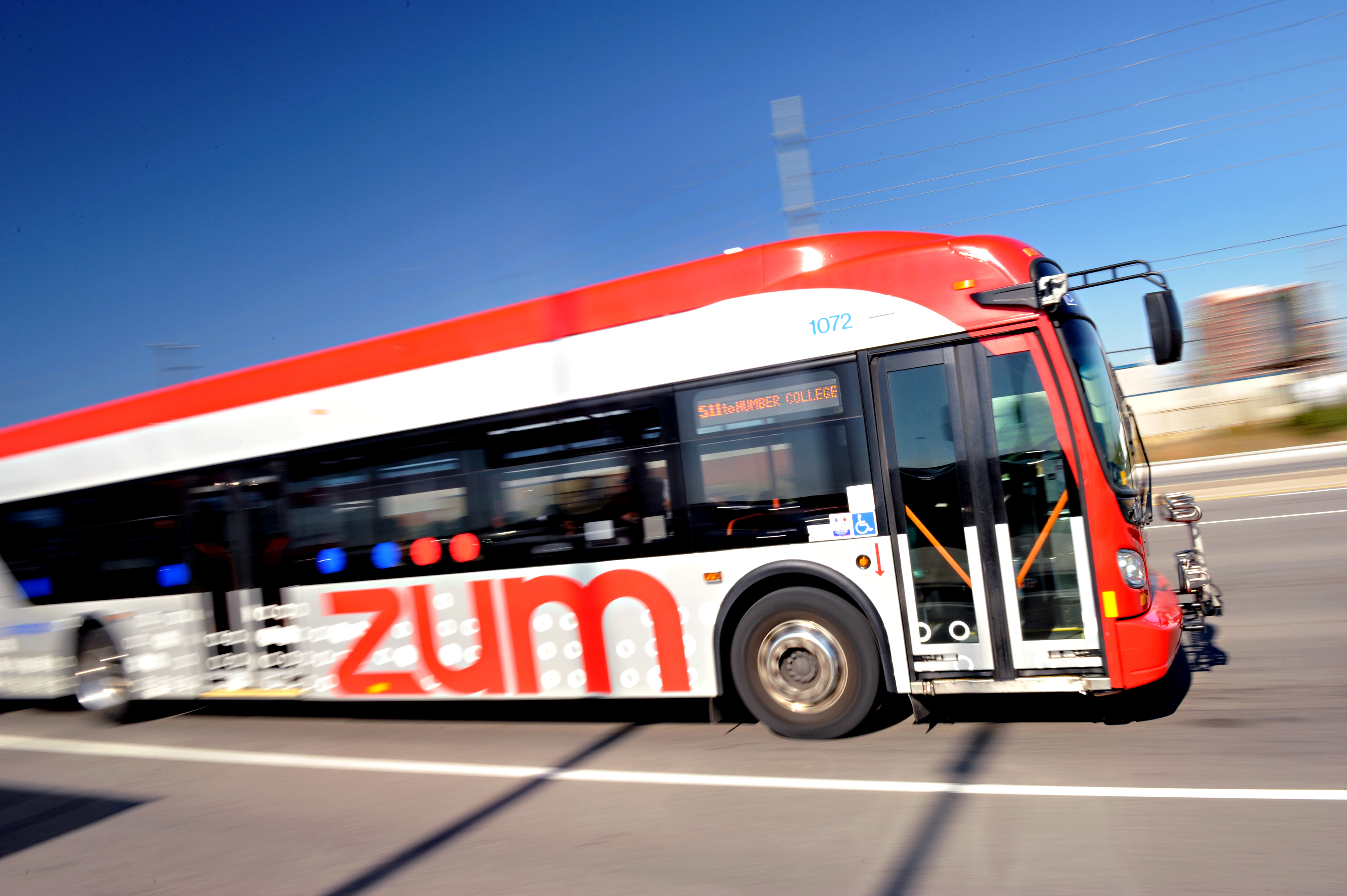 ZümBus.jpg