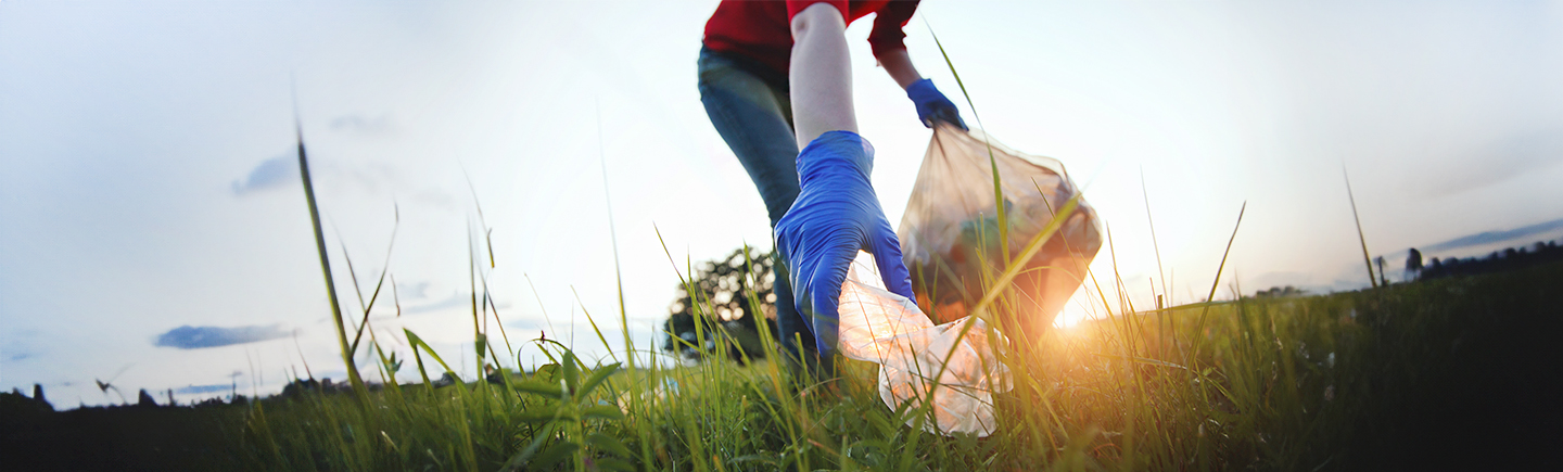 https://wwwauthoring.brampton.ca/EN/PublishingImages/homePage/Gardening%20and%20outdoors/CLEANER.jpg