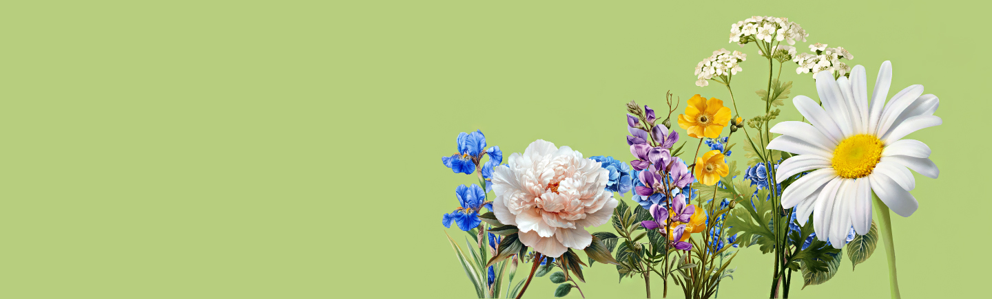 https://wwwauthoring.brampton.ca/EN/PublishingImages/homePage/Gardening%20and%20outdoors/Gardens%20of%20Brampton_1440x435_Tatiana%20Furtado%20(1).jpg