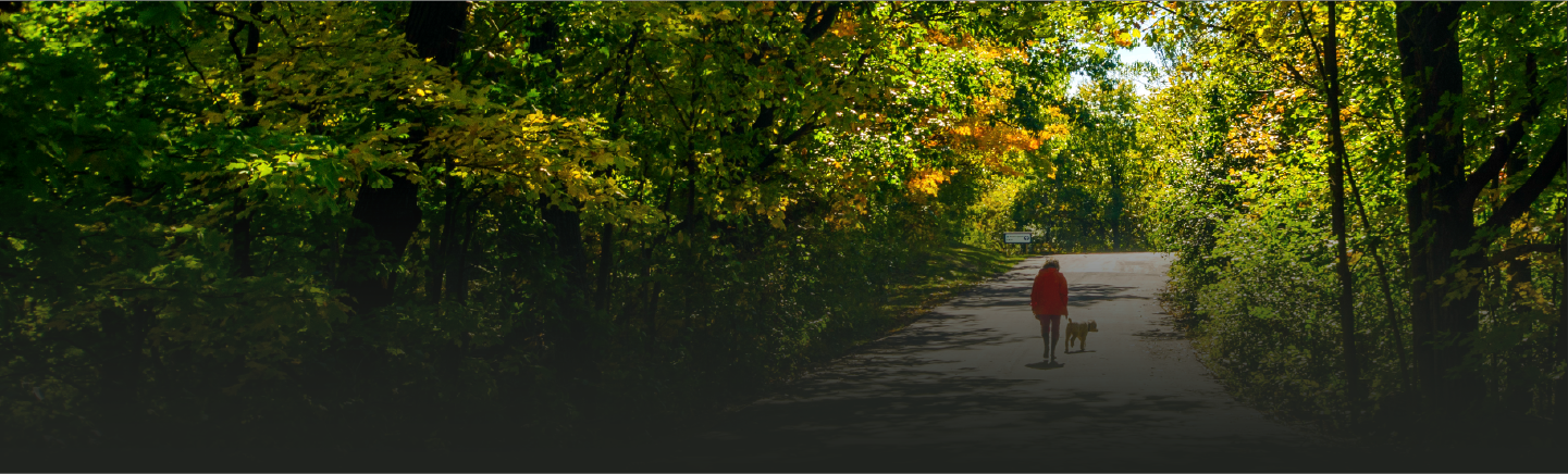 https://wwwauthoring.brampton.ca/EN/PublishingImages/homePage/Recreation/have%20say.png