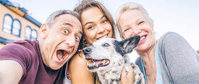 City of Brampton | Animal Services | Brampton Animal Services City of Brampton | Animal Services | Brampton Animal Services