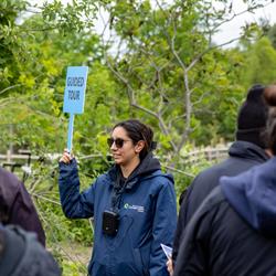 Grow Green Festival