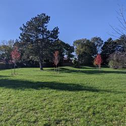 Before the Habitat - Just Grass