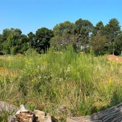 Dearbourne July 2024 Pano