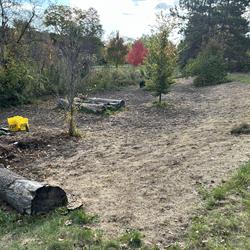 Phase 3 Tarp Removal and Seeding