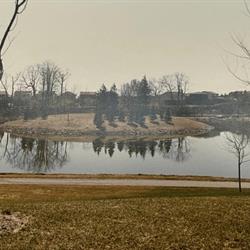 &#39;Baby&#39; Loafers Lake, 1982