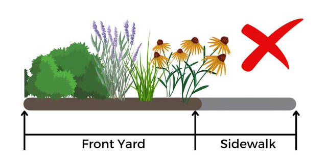 Diagram showing correct and incorrect plant placements in the front yard near the sidewalk. Tall plants by sidewalk marked incorrect.