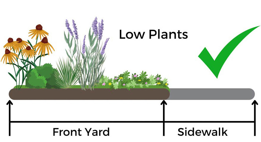 Low plants placments next the sidewalk marked incorrect and neglect