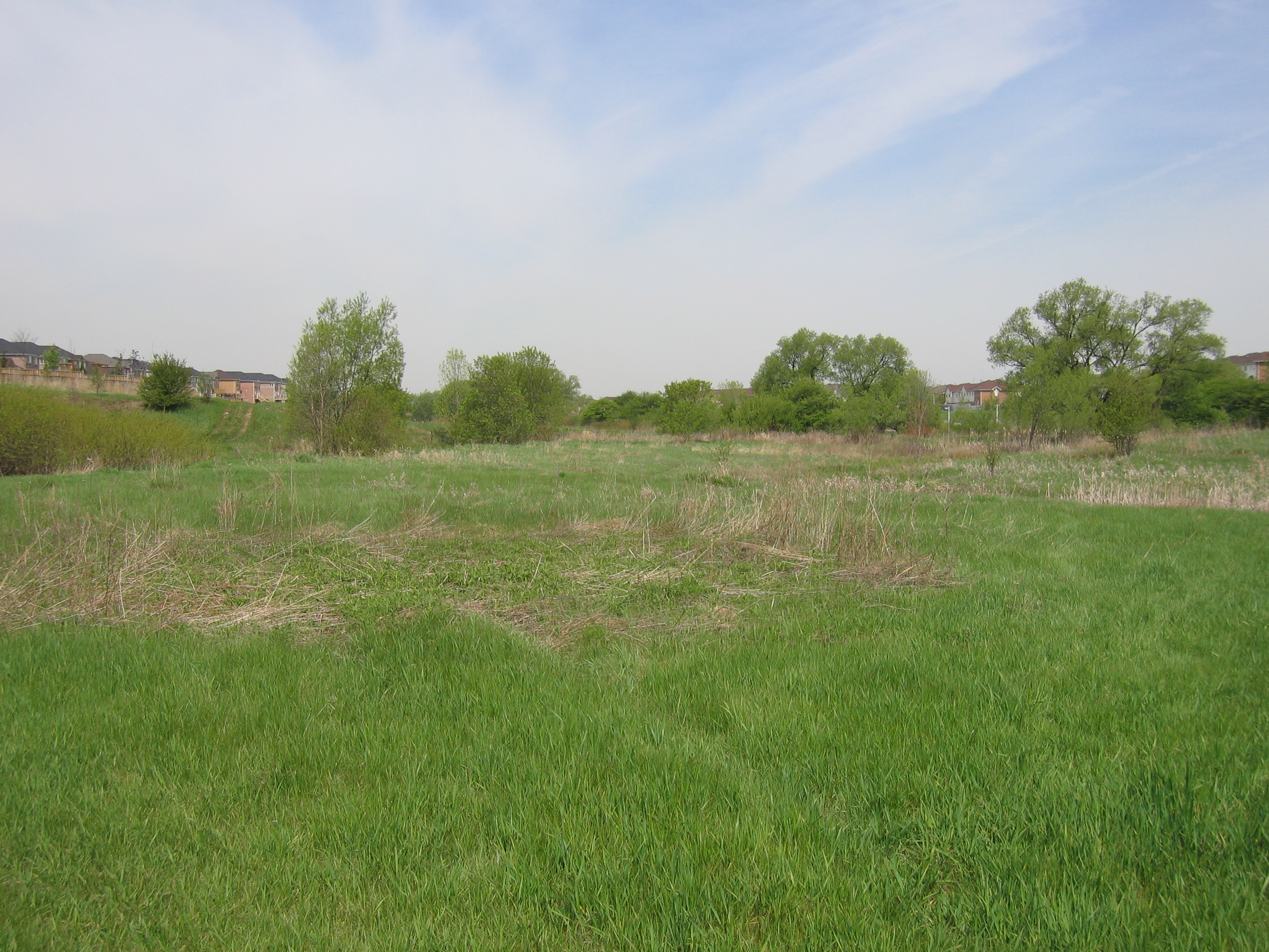 Fletcher's Creek Before Re-Planting