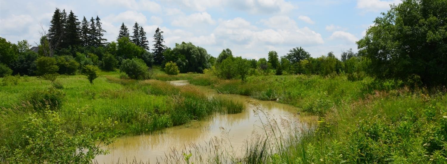 Protecting Natural Heritage Systems Page Banner