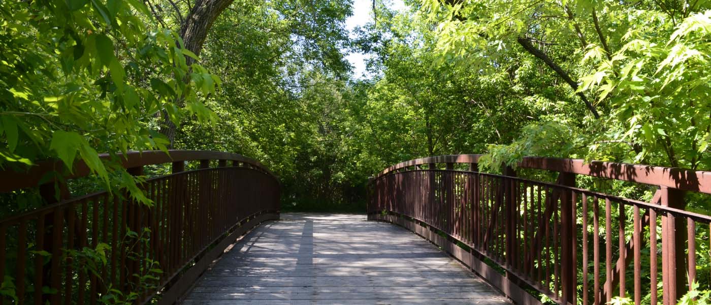Wooden bridge in forest - Banner