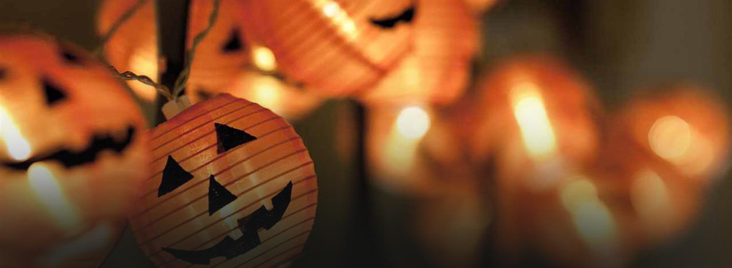 page banner