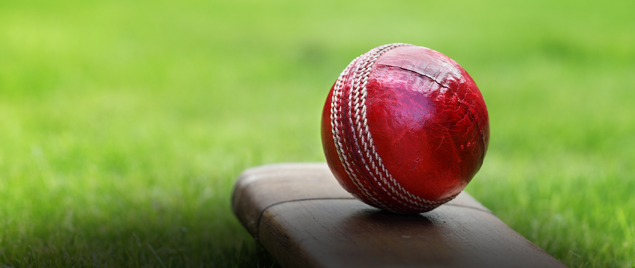 Image of Turner Fenton Cricket Pitch
