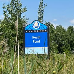 Heath Pond to Simpson Pond Dredging and Restoration Project