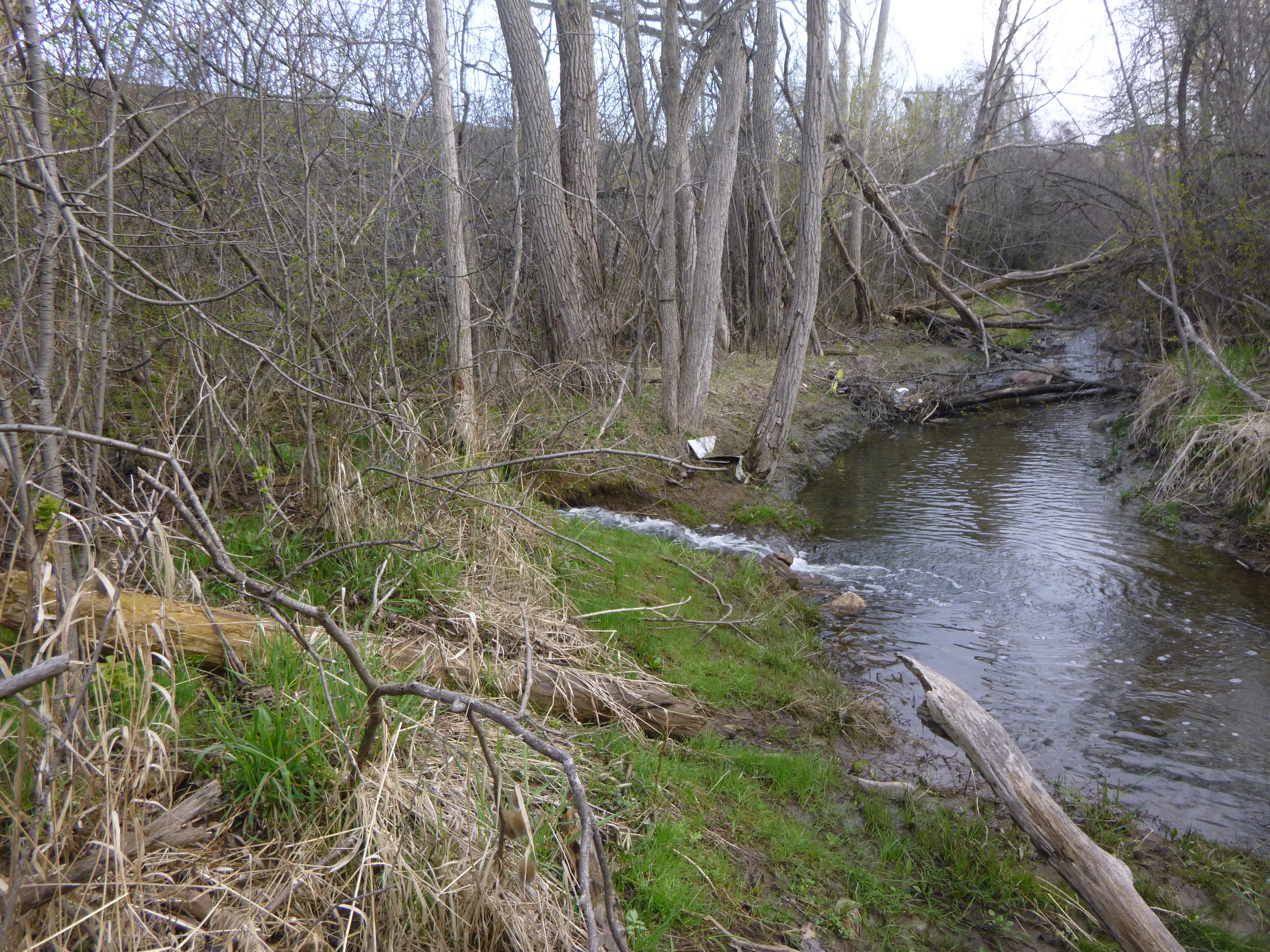 Culvert Replacement on Brampton-Orangeville Rail Trail
