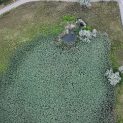 Van Kirk Outfall Stormwater Management Retrofit Project