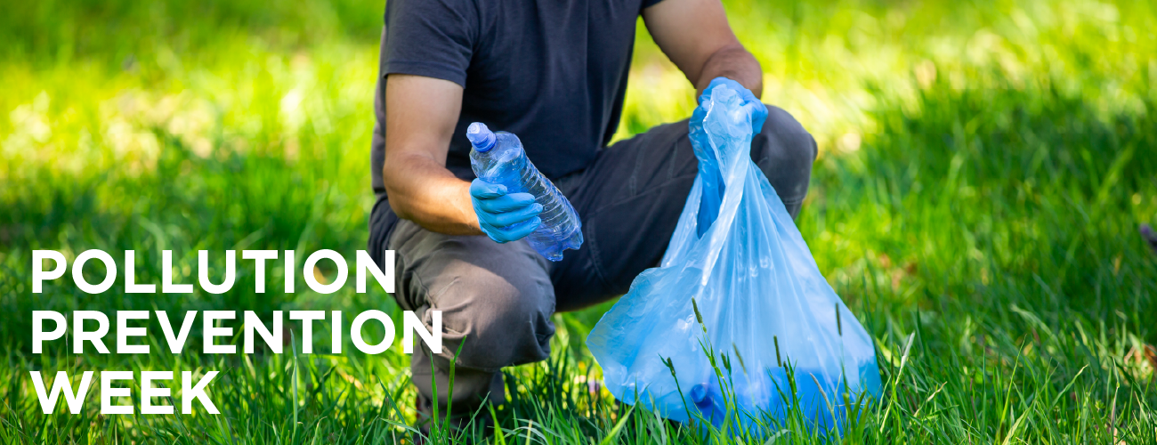 https://www1authoring.brampton.ca/EN/residents/Stormwater/PublishingImages/Stormwater%20Page%20Headers/Pollution%20Prevention%20Week%20(Home)%20Webpage%20Banner.png