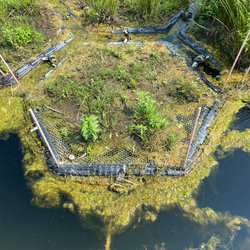 Floating Treatment Wetland Maintenance