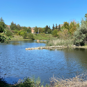 https://www1authoring.brampton.ca/EN/residents/Stormwater/PublishingImages/Stormwater%20Website%20Images/Rain%20ready%20info%20centre%20tiles/Stormwater%20ponds%20-%20residents.png