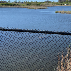 Drinkwater Pond Remediation