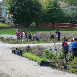 Glendale School Rain Garden