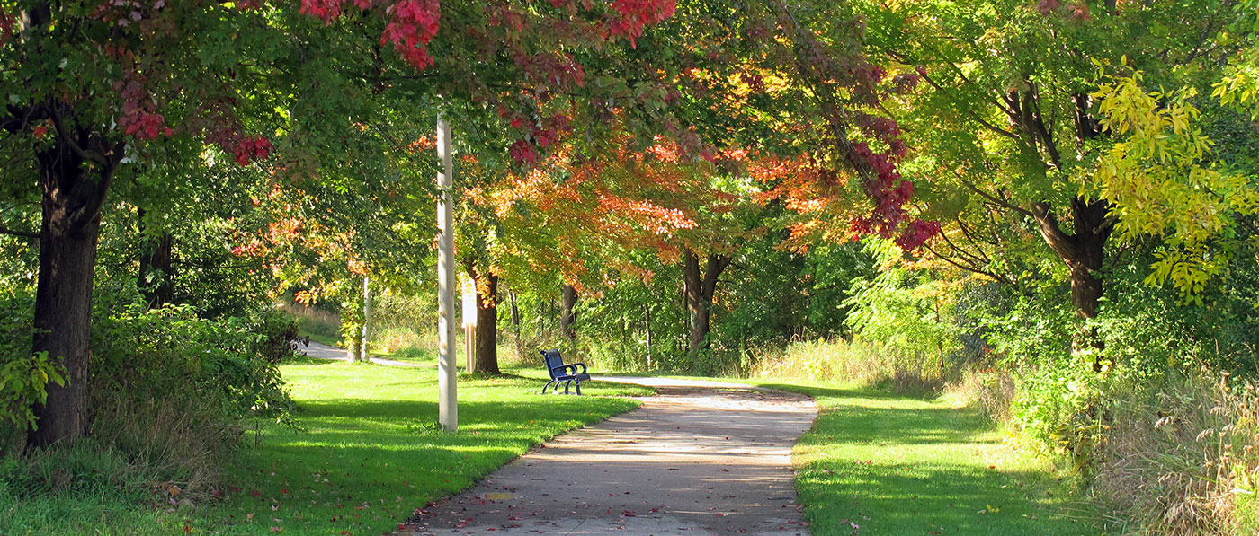 City Park