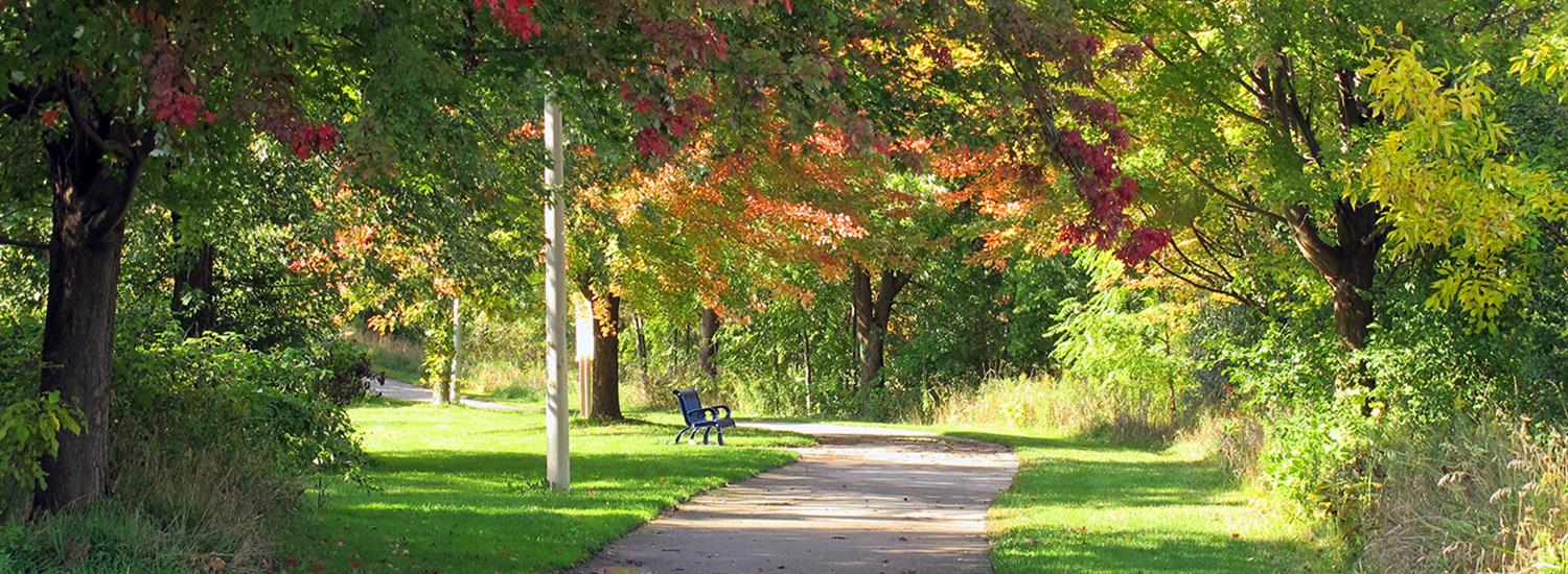 Trees on City Property Page Banner