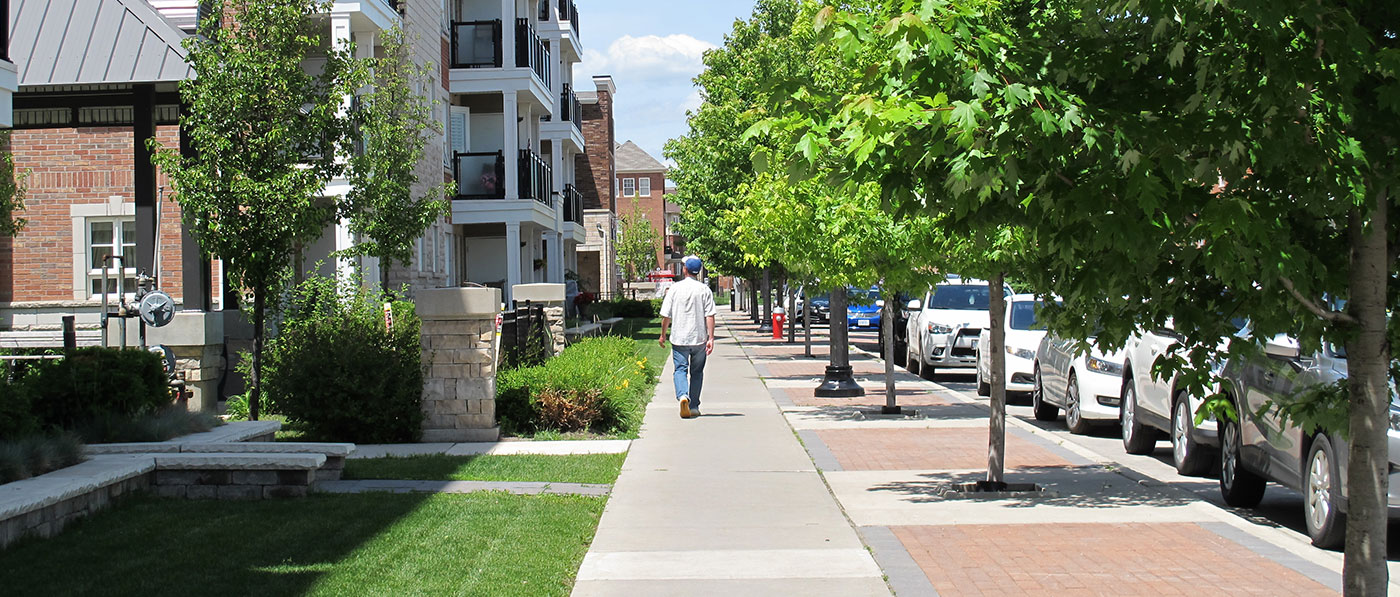 trees on urban sidewalk