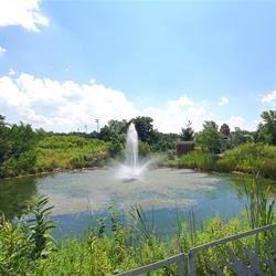 Creditview Activity Hub - Water Cycle