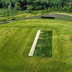 Creditview Cricket Field Development - Cricket Field