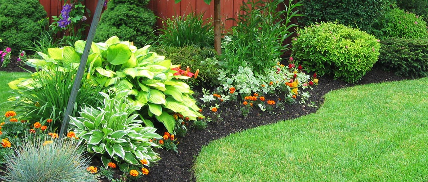 Page Banner - Photograph of Flower Bed
