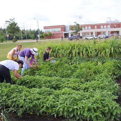 Image for Flower City Community Garden