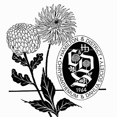 Hamilton District Chrysanthemum & Dahlia Society