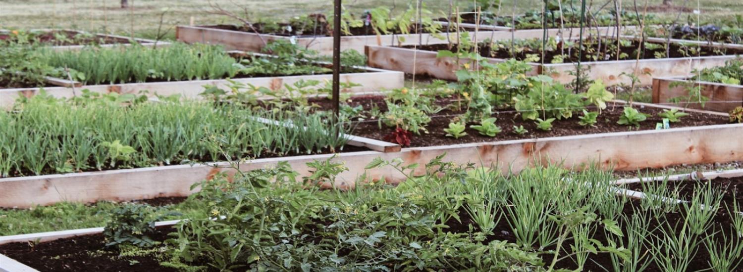 Community Gardens Page Banner