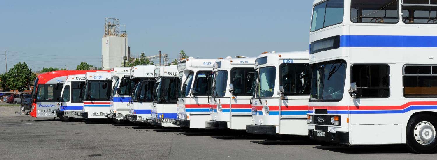 https://www1authoring.brampton.ca/EN/residents/transit/PublishingImages/Web%20tile%2050th%20Anniversary.png